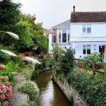 Lyme Regis Dorset Pets Free Staycations