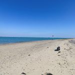 Ryde Isle of Wight Staycations Pets Welcome